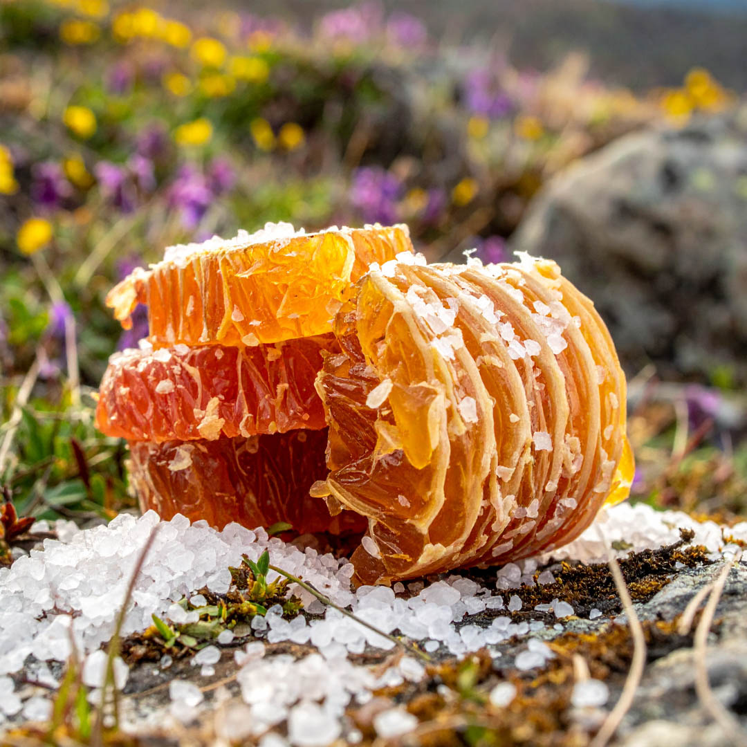 Firefly%20Puckered%20and%20fuzzy%20yellow%20stone fruit,%20plus%20dehydrated%20peel.%20Rosemary%20in%20bianco.%20Taste%20is%20pl%20%281%29