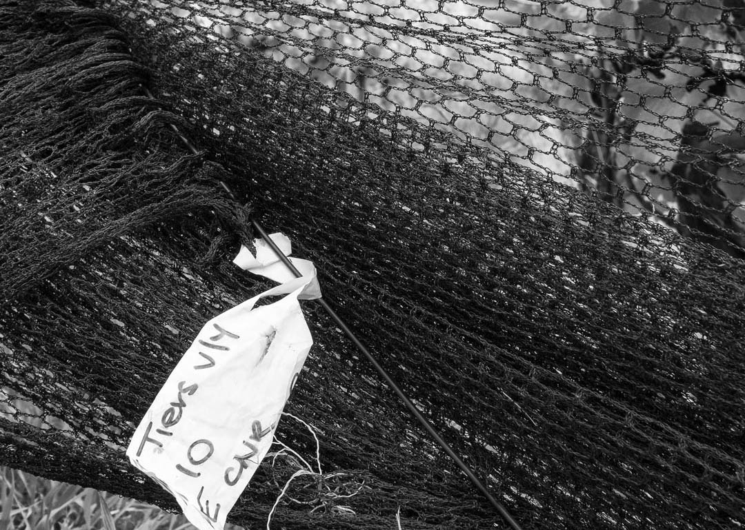 Tapanappa%20Tiers%20netting%20tagged%20210305 08