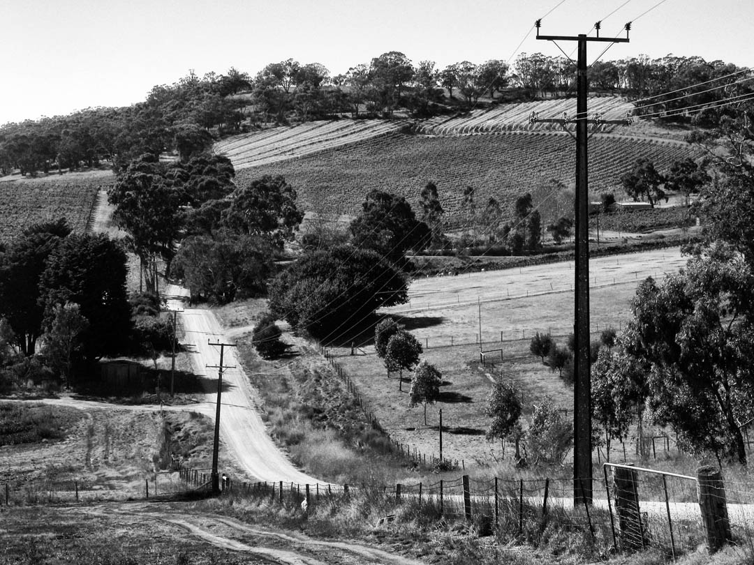 arrivo%20vineyard%20coleman%20road%20gumeracha%20from%20the%20west%2001%2008 03 29